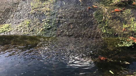 Abwasser-Fließt-Sanft-Durch-Eine-Steinrinne-In-Einen-Abfluss-Und-Erzeugt-Dabei-Wellen