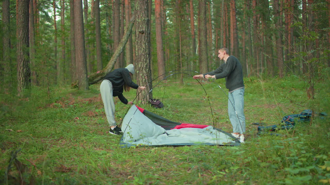 man grips flexible tent pole while woman crouches to take down tent fabric in serene forest setting surrounded by tall trees and greenery during peaceful morning camping experience