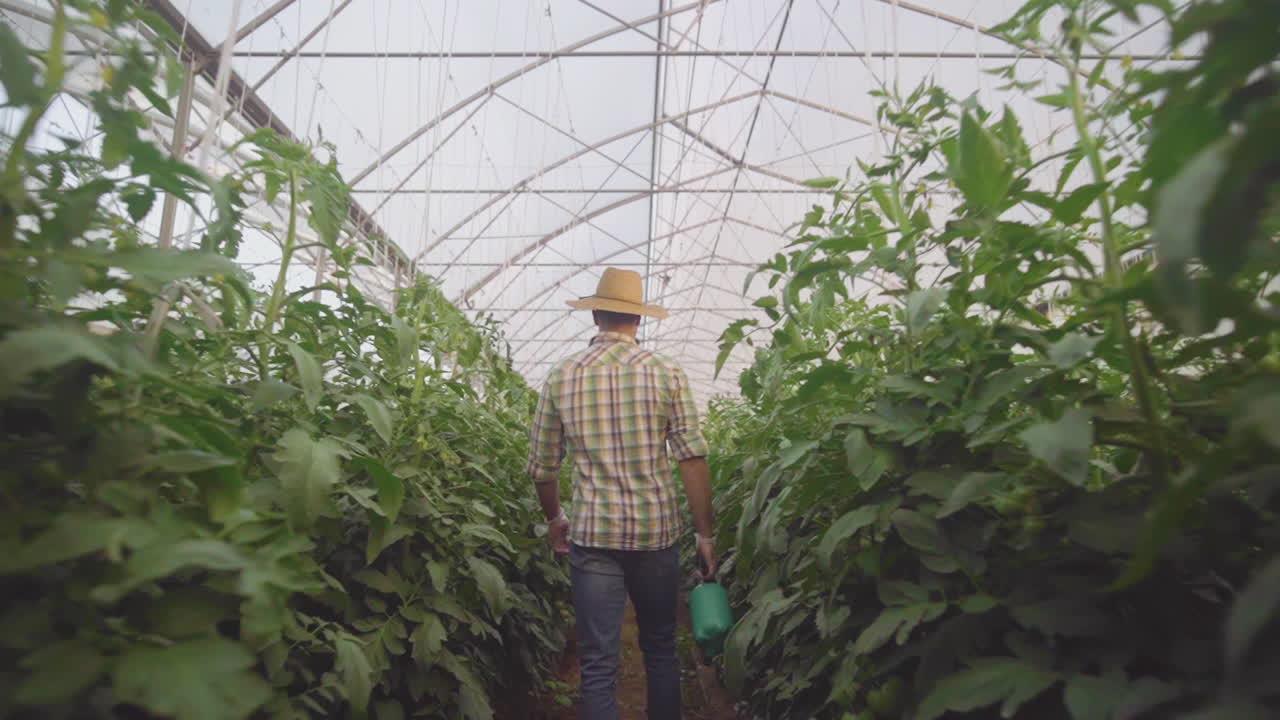 agricultor que trabaja en un invernadero