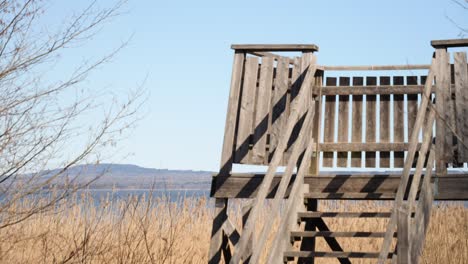 Birdwatching-tower-in-dry-reed-field-in-swamp