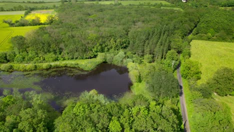 üppige vegetation und feuchtgebiete auf dem land von maine-et-loire, frankreich