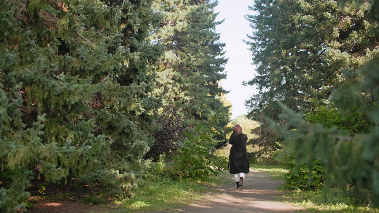 Любитель природы в длинном зимнем пальто, снятый издалека, прогуливается по дендрарию, держит телефон и поднимает его, чтобы сделать снимки среди высоких сосен; спокойная прогулка, запечатлевающая зелень в расслабленный осенний день.