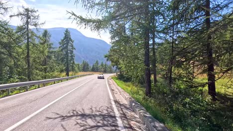 car driving through mountainous forest road