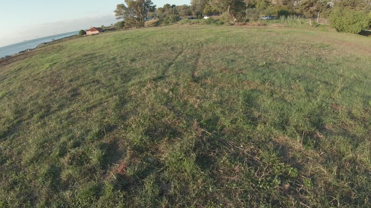 entrenando muy cerca del entorno verde