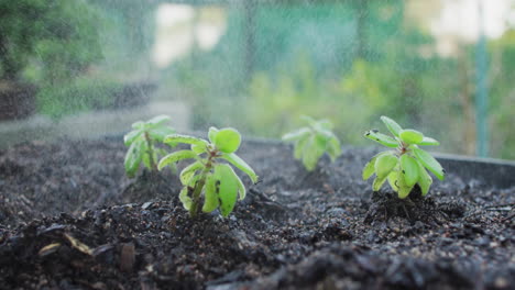 animation of data processing over green plants