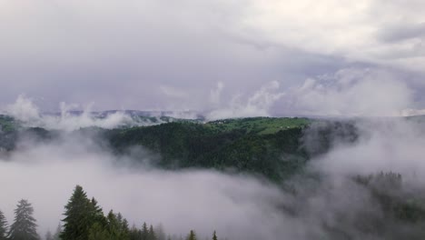 panoramablick aus der luft auf das breite karpaten-gebirgstal in einer grünen landschaft über wolken