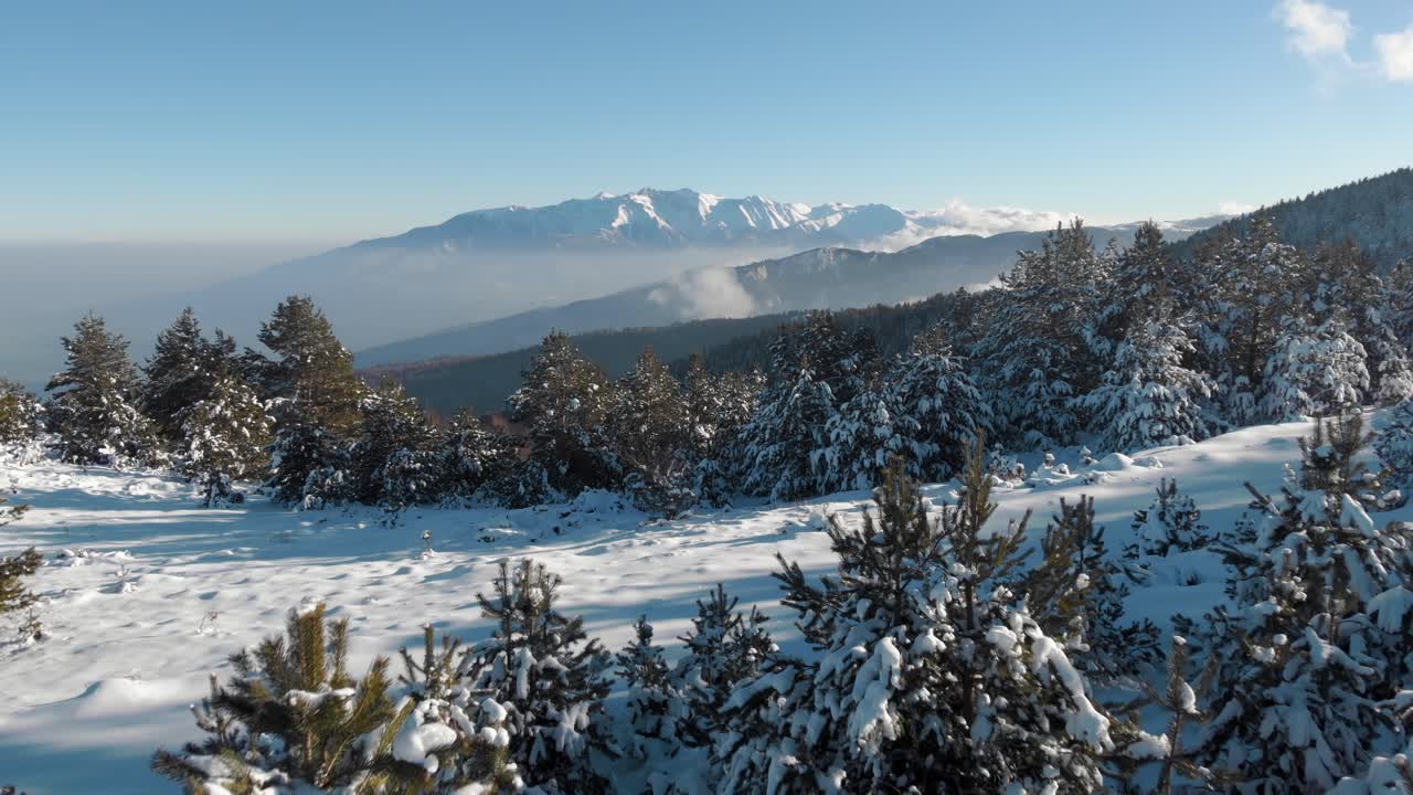 drone disparado lentamente bosque cubierto de nieve montaña olimpo fondo invierno