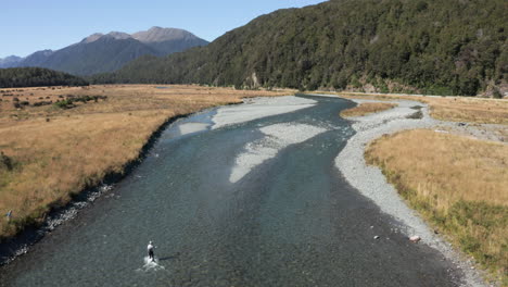 aerial drone reveal pan up footage of fly fishing at eglinton river, new zealand