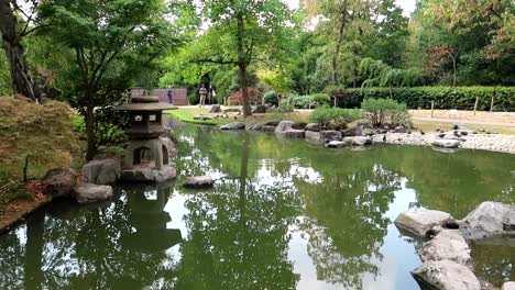 Beautiful-Japanese-Garden-landscape-pond-in-Holland-Park,-London,-UK