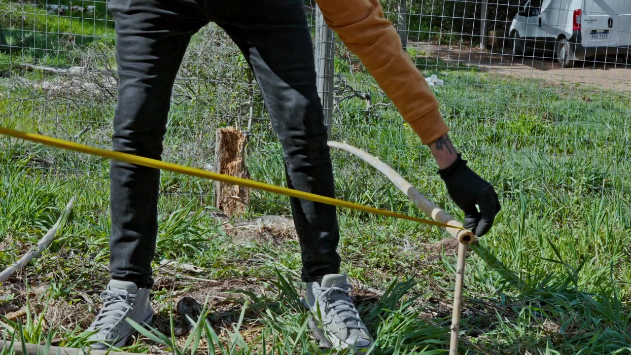 Um homem com luvas pretas usa uma fita métrica para medir um poste de bambu em um campo gramado. Esta filmagem é ideal para temas de faça você mesmo, jardinagem, construção ao ar livre e sustentabilidade