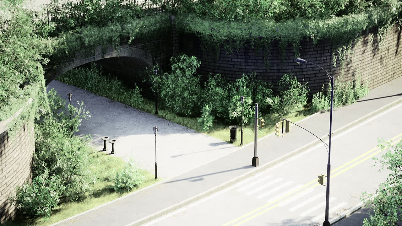 Nature reclaims urban space in a tranquil city corner under sunlight