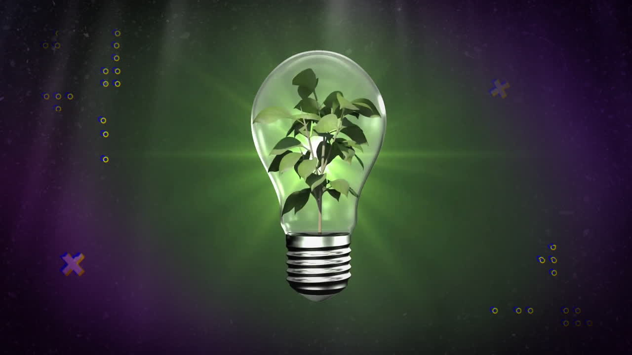 Animation of green plant inside light bulb with glowing green and purple background