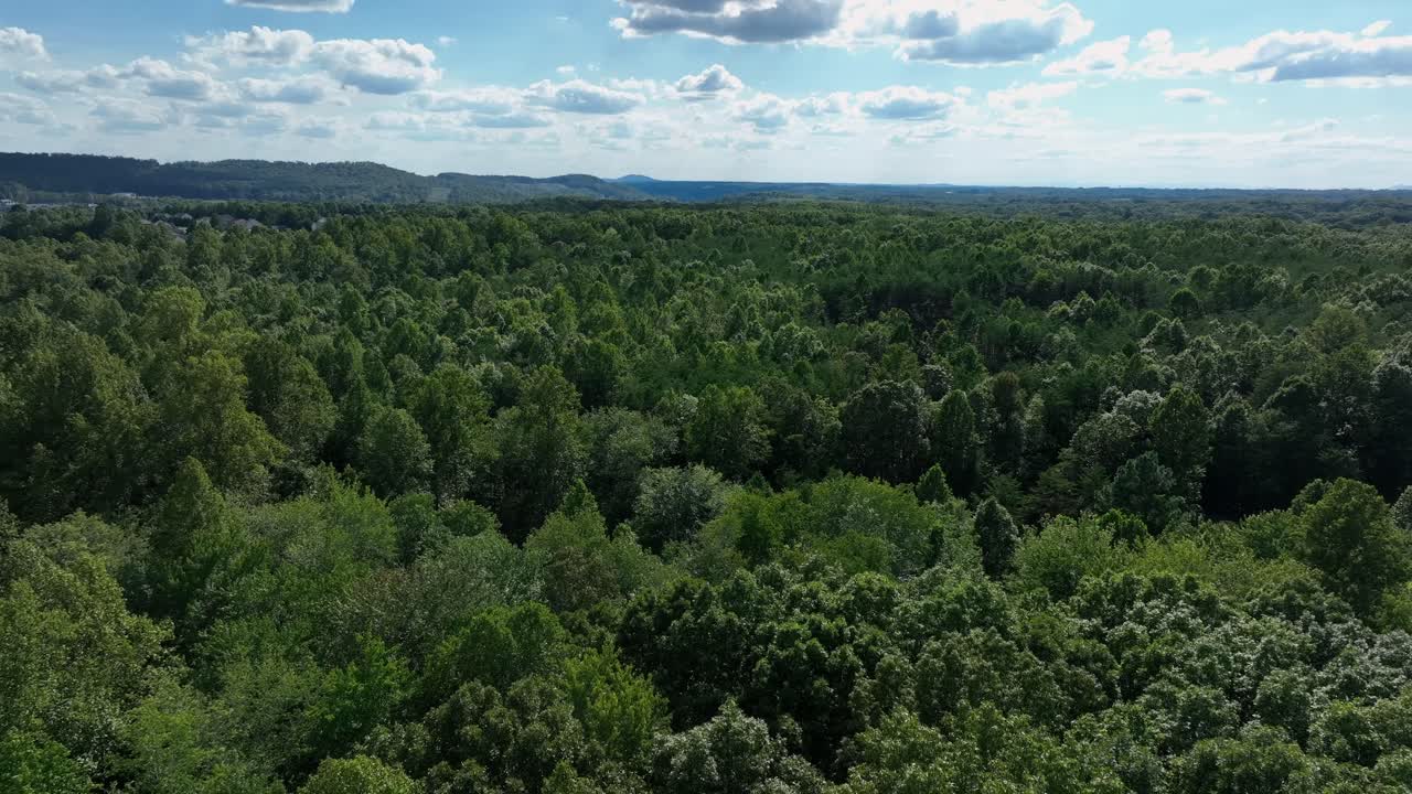 Dense forest woodland in American suburbia. Sunny Summer day in Virginia, USA. Peaceful nature shot with blue ridge mountains in distance. Aerial backwards wide shot