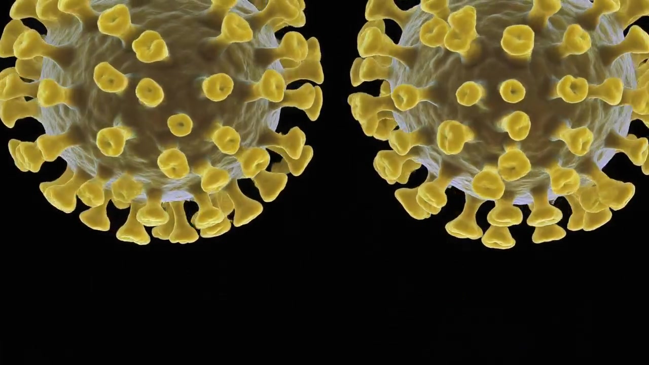 3D Animation of Coronavirus Cells Releasing Particles