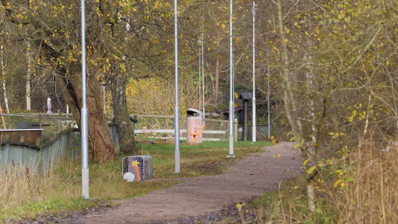 Peaceful forest path lined with trees and lampposts in autumn near Gothenberg