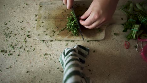 cortar verduras en un entorno de bricolaje de ángulo alto a bajo