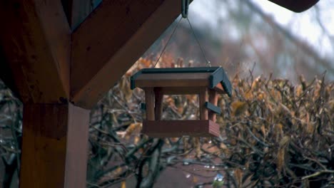 un alimentador de pájaros colgado del techo de una terraza exterior en el patio de una casa donde los pájaros vienen a alimentarse