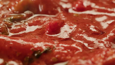 close-up of a flavorful, creamy, tomato-based dish