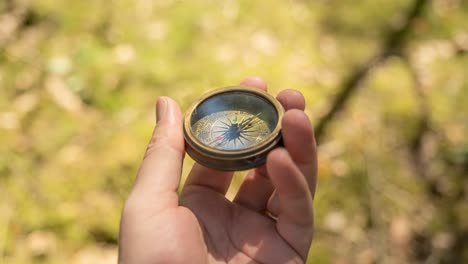 traveler hand holds a compass in forest