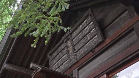a detailed view of traditional japanese wooden architecture, with an intricate carved panel and dark timber, framed by vibrant green leaves.