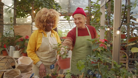 multiethnic colleagues working and talking at plant nursery