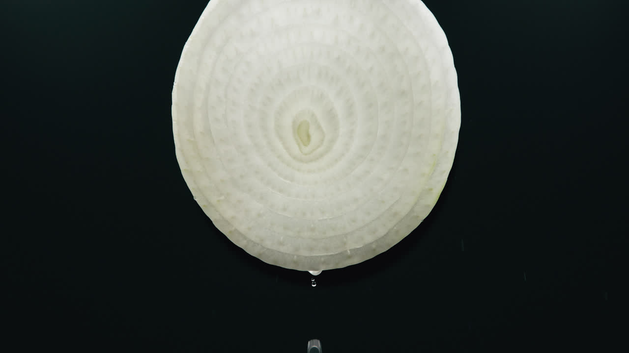 슬로우 모션 백라이트 블랙 배경에서 액체 드립이 있는 가벼운 물방울 미스트에 의해 양파 슬라이스가 튀었습니다.