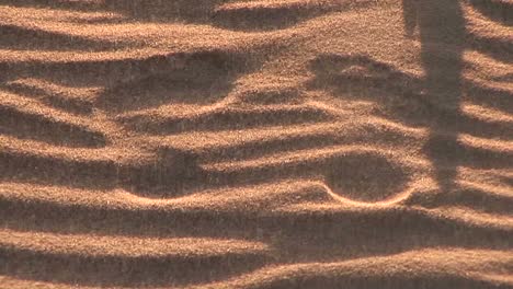 fußspuren im sand bei sonnenuntergang