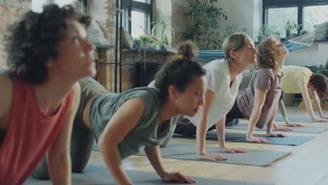 women doing cat and cow pose on yoga practice