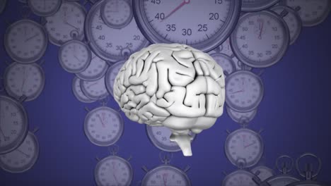 cerebro giratorio contra relojes en un fondo púrpura