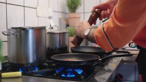 adding salt and pepper into the meal