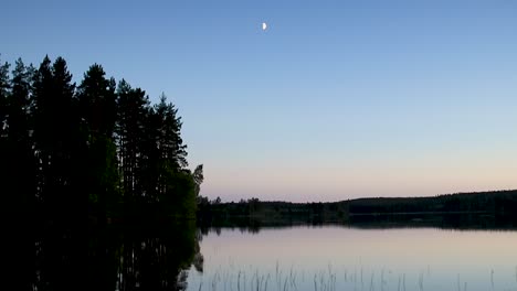 Luna-En-El-Reflejo-Del-Agua,-Paneando-Hacia-Arriba-Sobre-Un-Lago-En-Un-Bosque