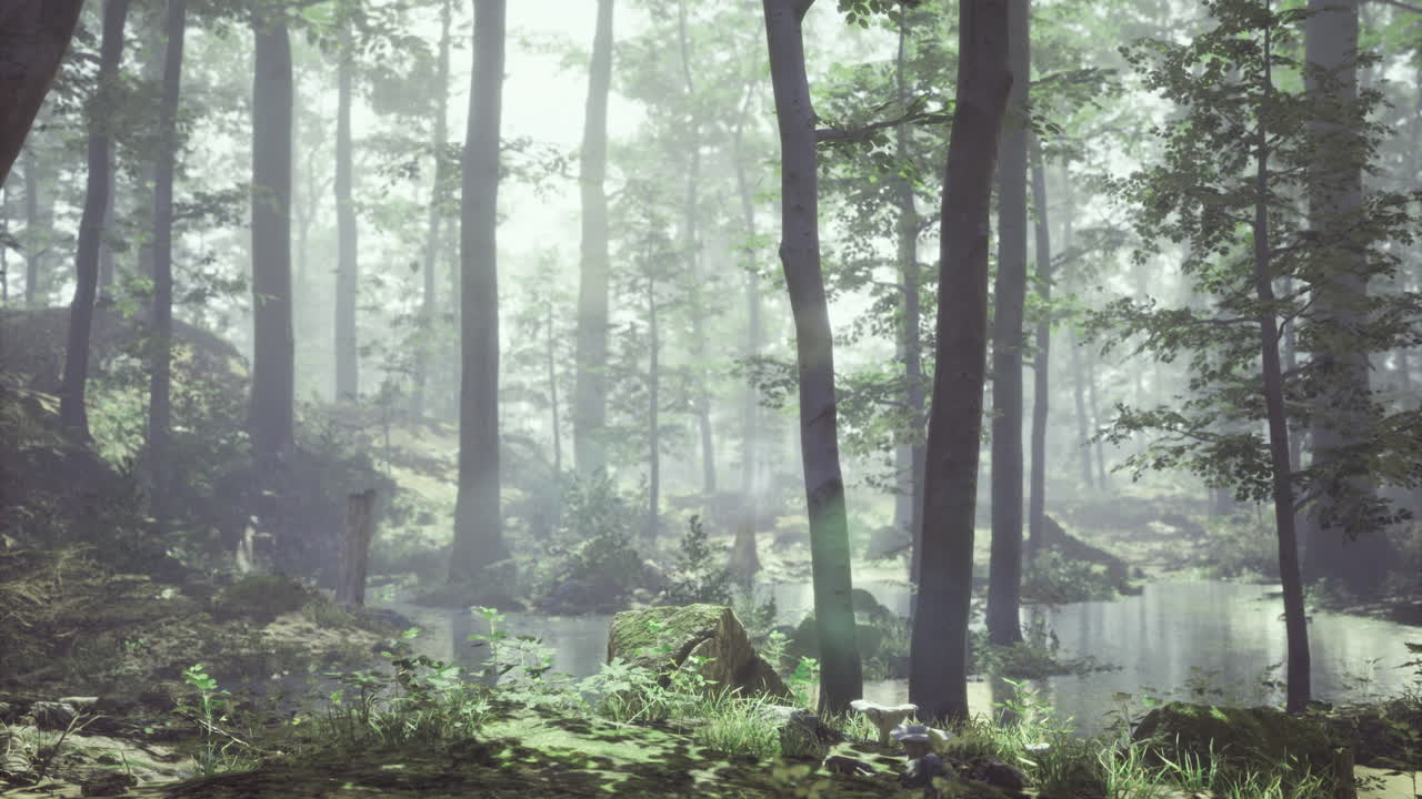 Misty forest landscape with tranquil pond under soft morning light