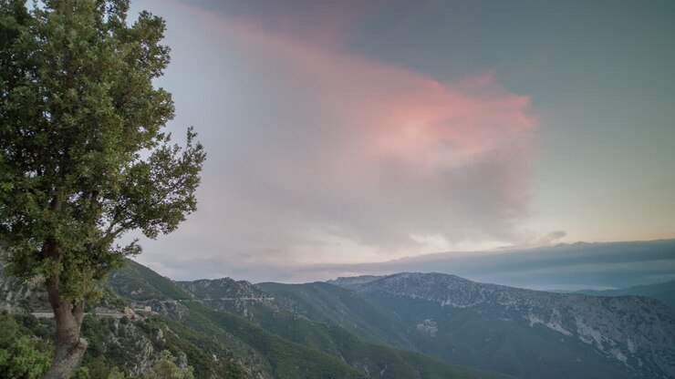 Albero al tramonto in Sardegna 4K 02