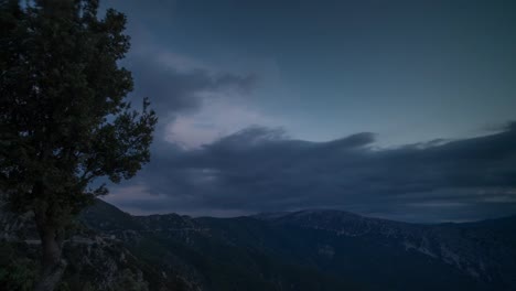 sardinia tree sunset 4k 02