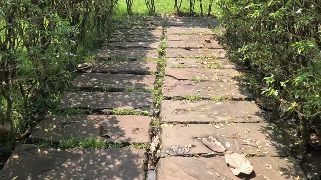 A narrow stone path winds through sun-dappled hedges, bordered by lush green grass and scattered leaves.
