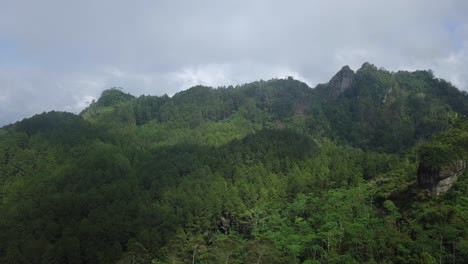 cloudy-hill-and-forest-aerial-K-videos-nature