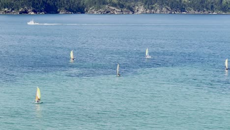 catarmaran on aqua water no horizon whitsundays tropical islands queensland australia