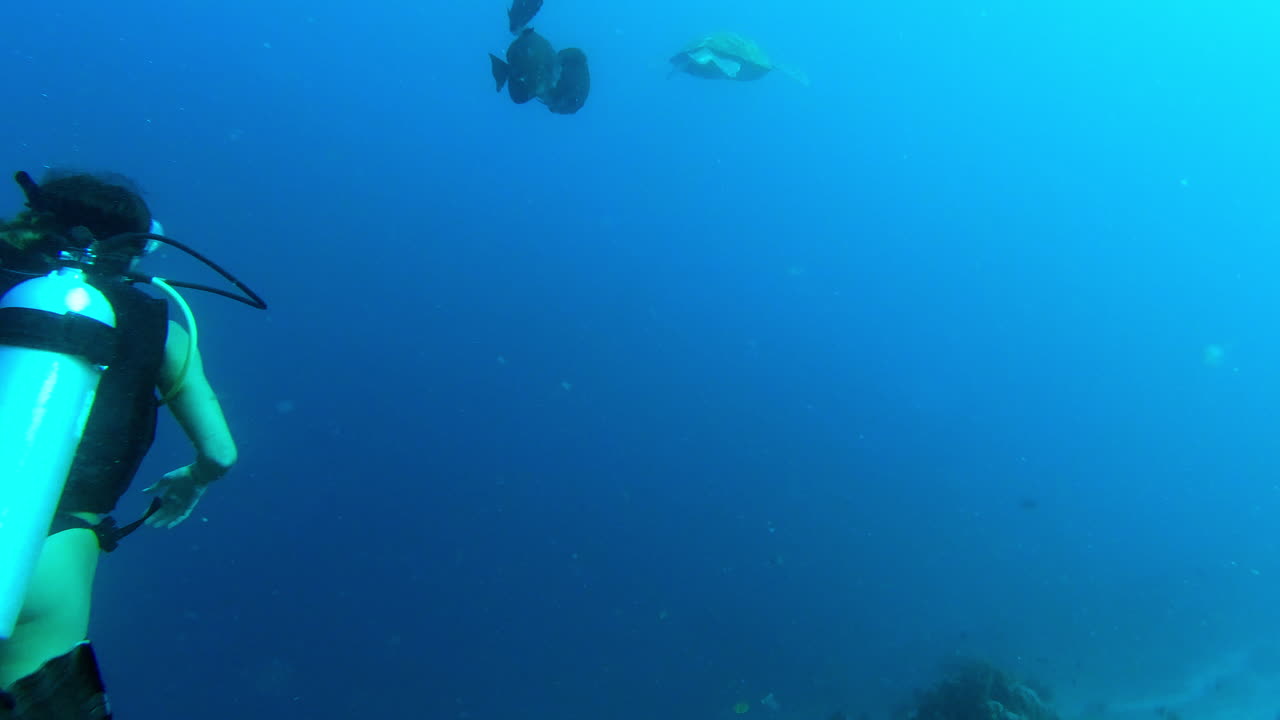 el momento en el que todo buzo espera