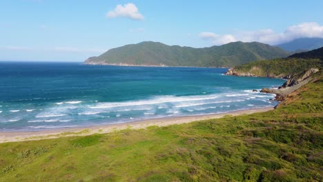 Discovering-flora,-fauna-and-nature-of-Tayrona-National-Park,-Colombia