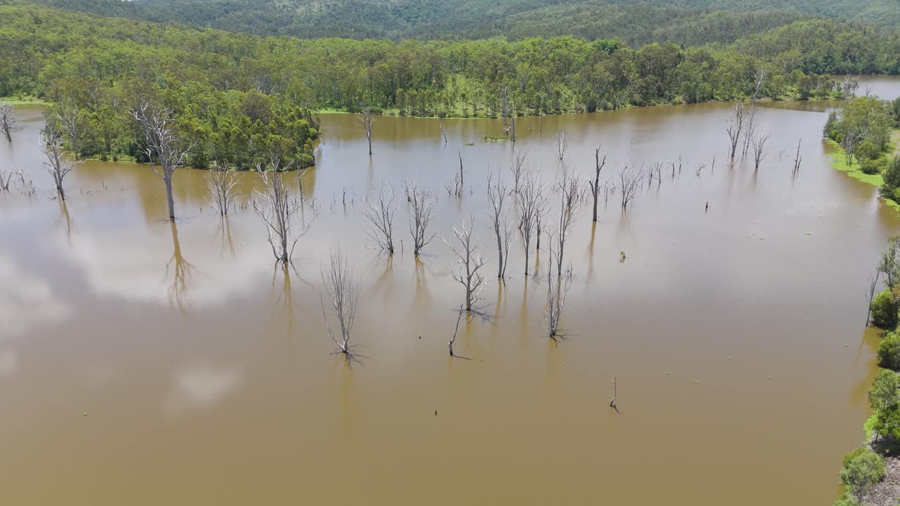 물 속 에 잠긴 나무 들 이 있는 호수 의 공중 사진
