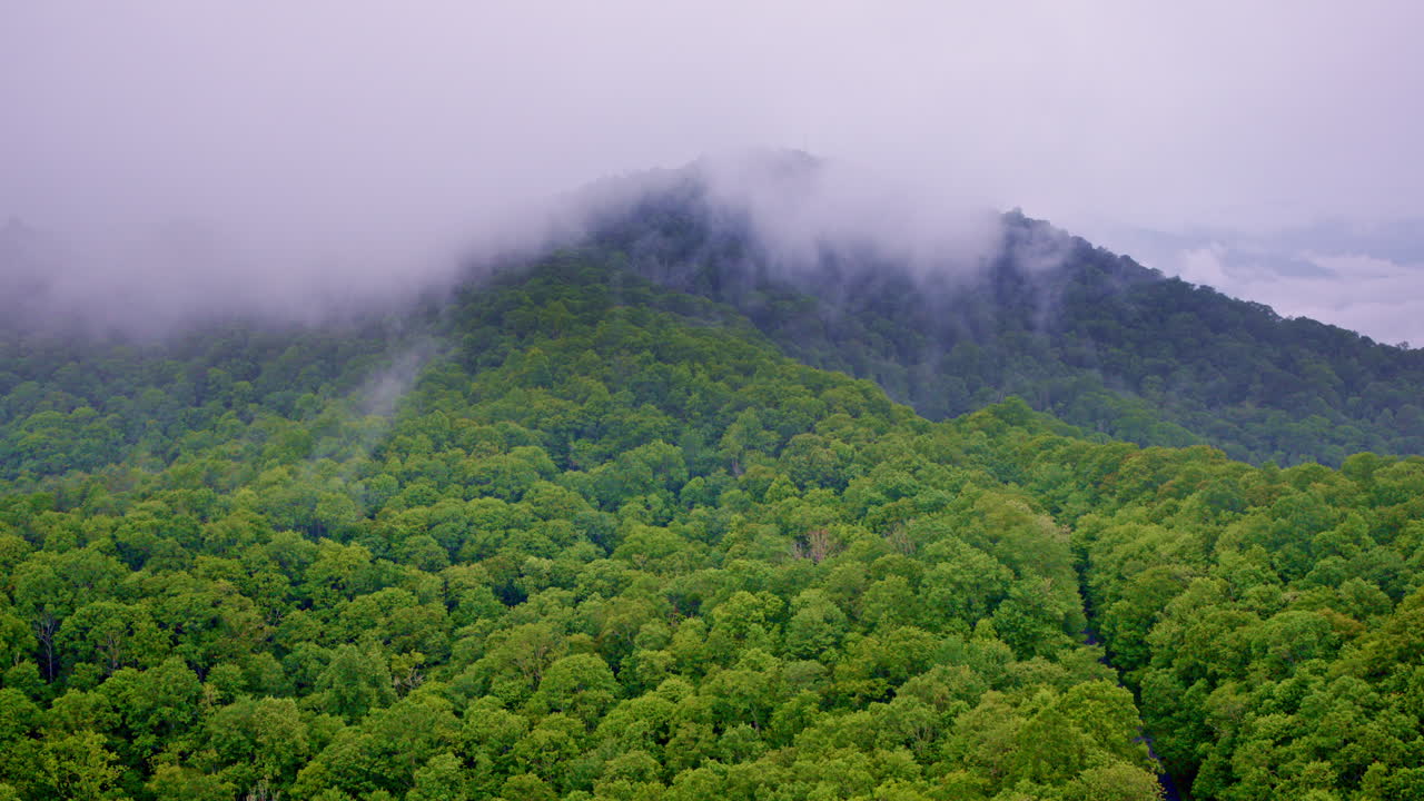 Drone soars above the mist-laden wilderness of the Great Smokies