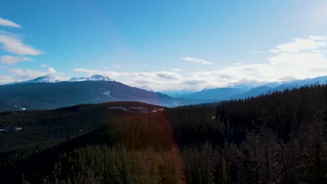 through trees toward mountains in jasper