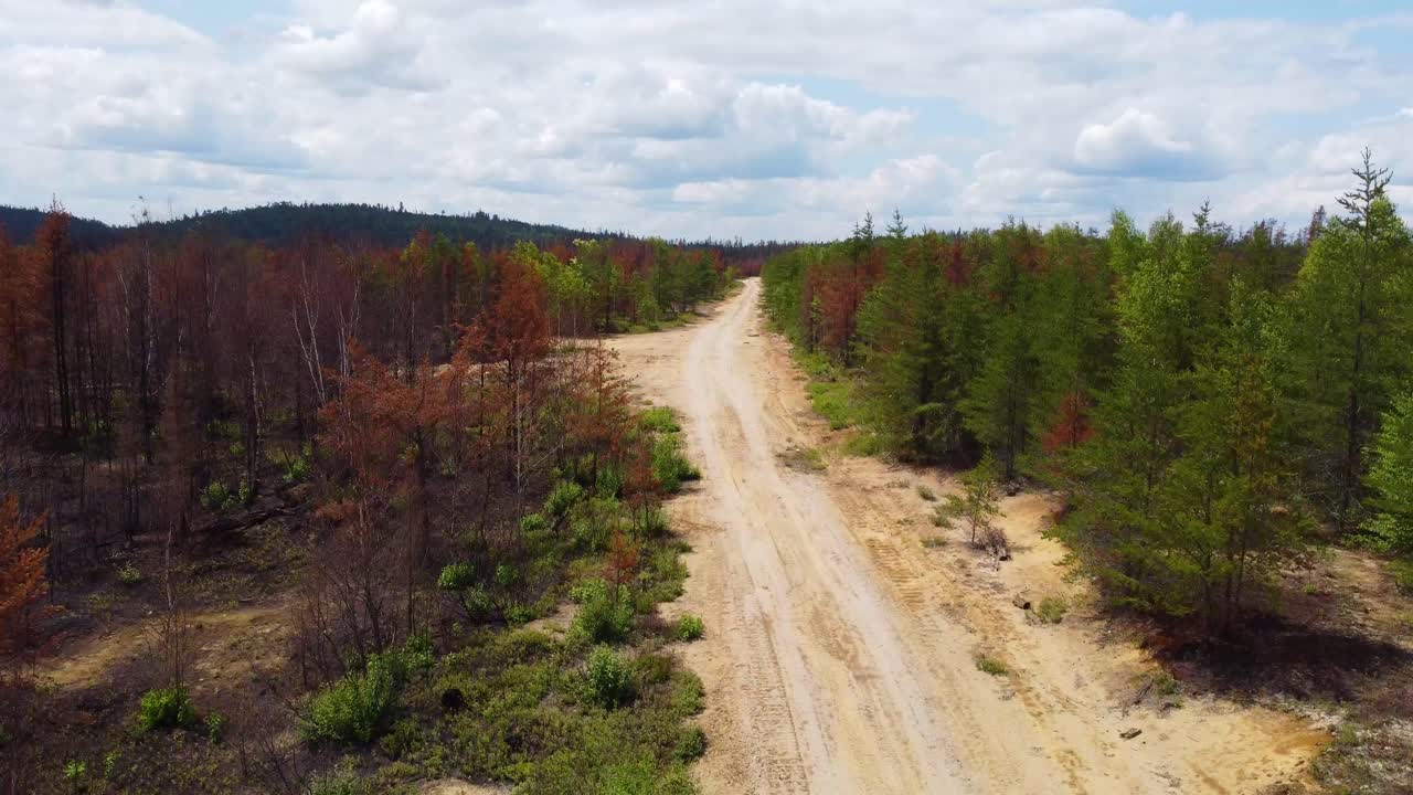 Aerial landscape view over a dirt road surrounded by burnt trees, aftermath of the biggest wildfire in the history of the Province of Qu&eacute;bec, Canada
