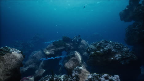una impresionante escena submarina con un arrecife de coral