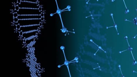 Moving-3d-DNA-strand-and-molecules