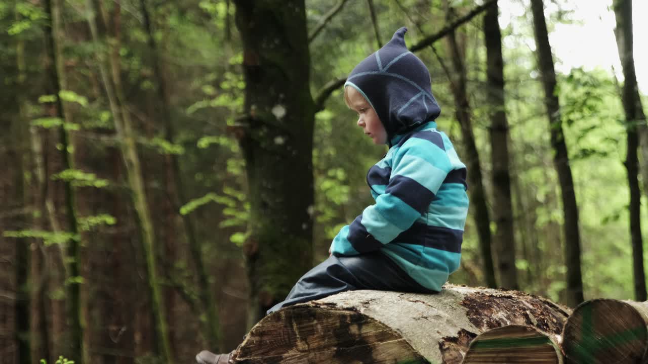 Giovane ragazzo seduto su un tronco nella foresta mentre sogna ad occhi aperti