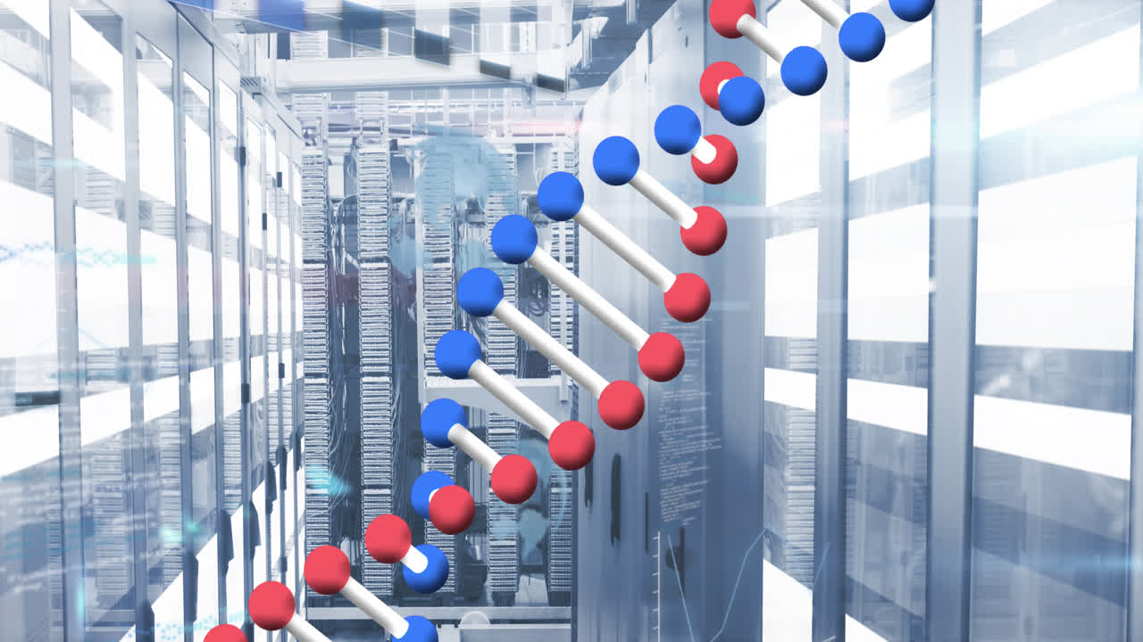 서버  ⁇ 에서 데이터 처리의 애니메이션