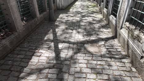 cobblestone alley with tree shadows