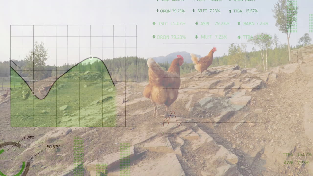 바위 지형에서 는 에 대한 주식 시장 데이터 애니메이션