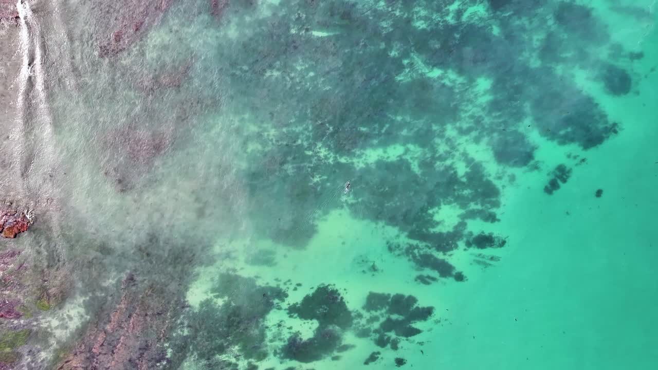 aerial view of a reef in shallow water